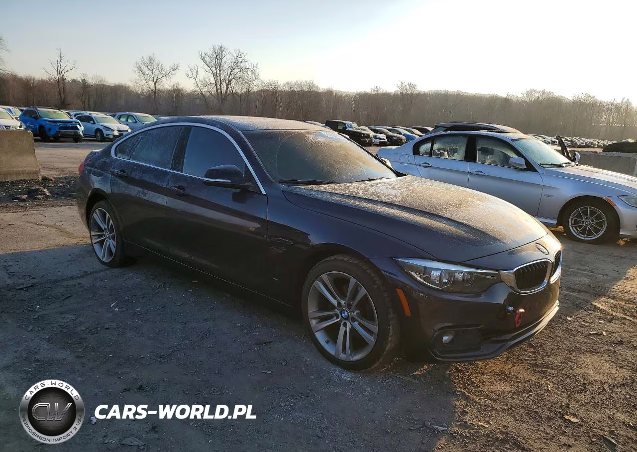 2019 BMW 430Xi Gran Coupe VIN:WBA4J3C50KBL10516 - 4
