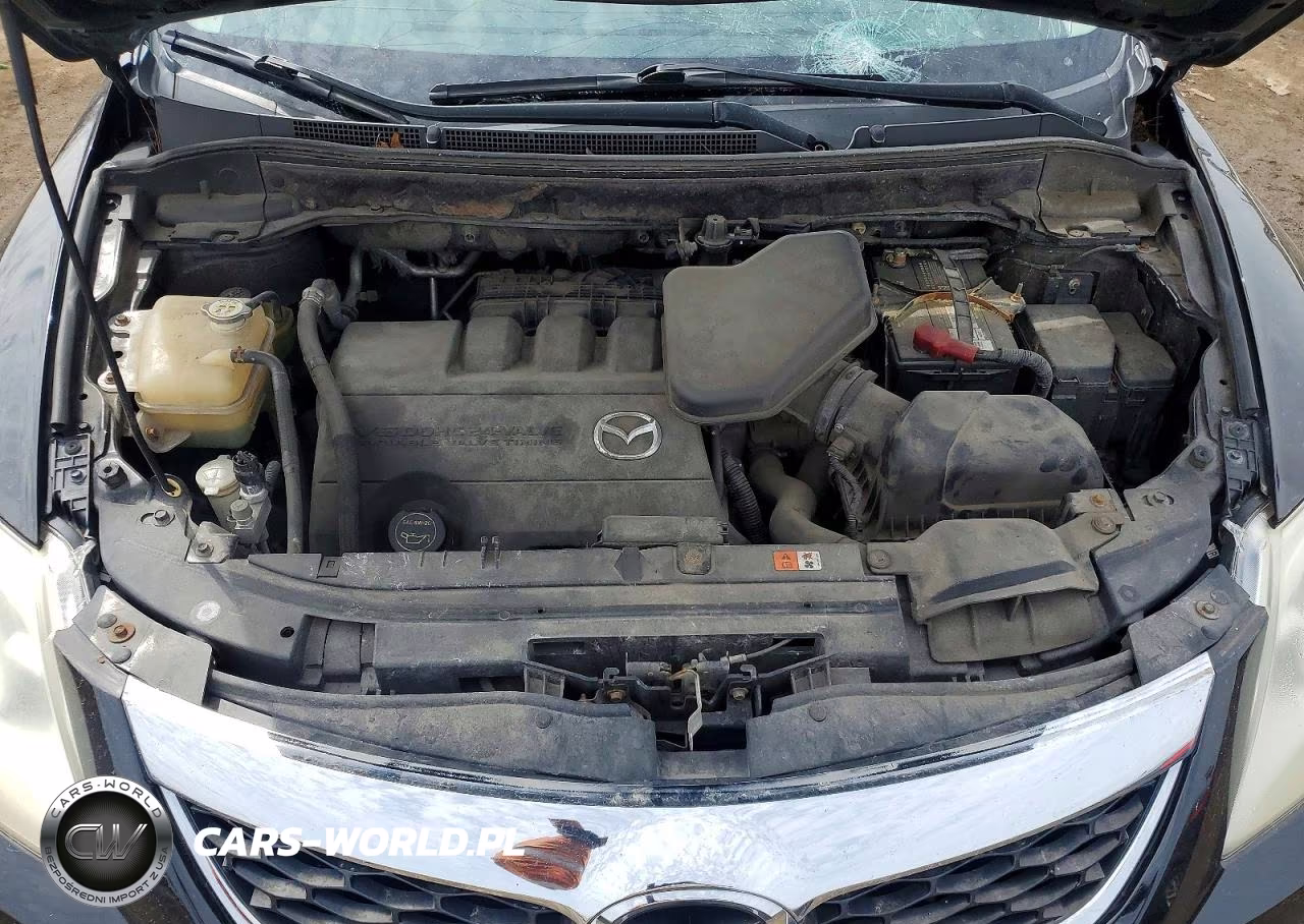 2010 Mazda Cx-9 VIN:JM3TB2MA4A0222541 - 12