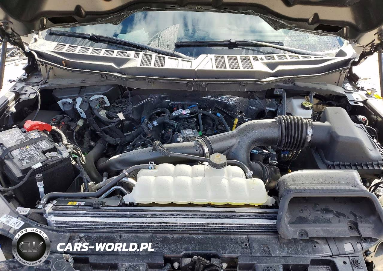 2025 Ford F150 Stx VIN:1FTEW2LP8SKE91627 - 11