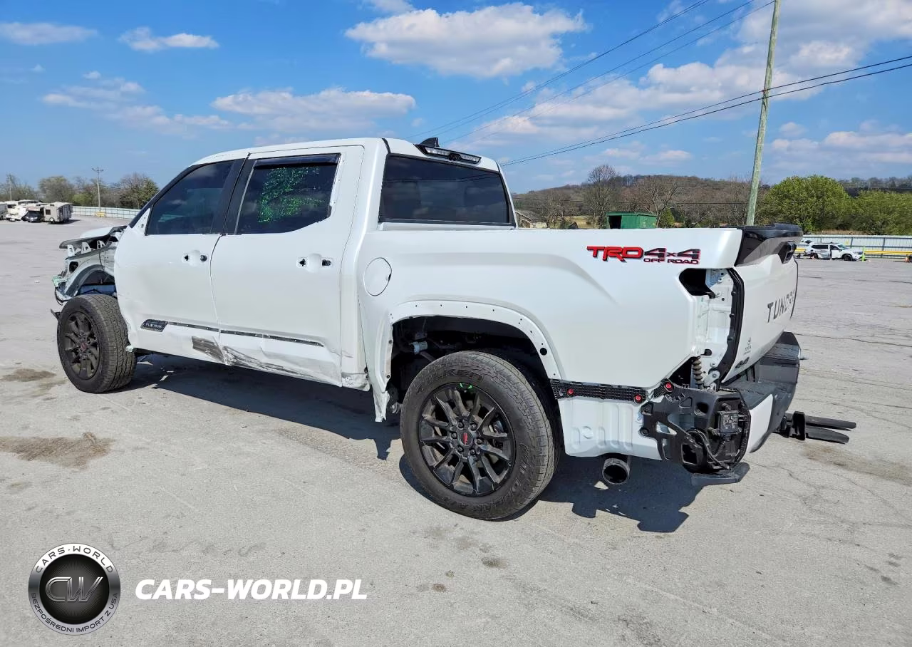 2025 Toyota Tundra Platinum VIN:5TFWA5DB3SX288073 - 2
