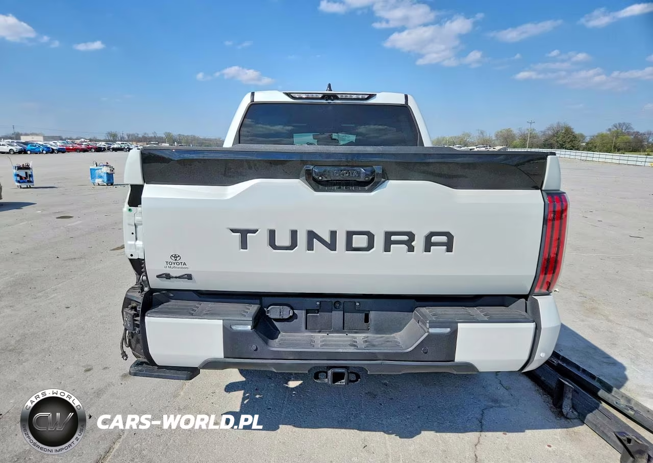 2025 Toyota Tundra Platinum VIN:5TFWA5DB3SX288073 - 6