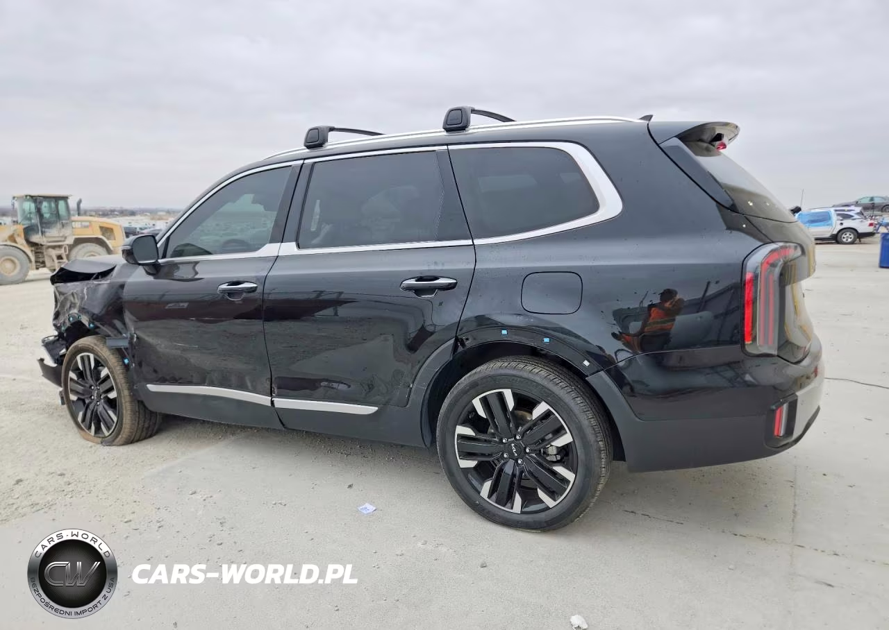 2024 Kia Telluride Sx-Prestige VIN:5XYP5DGCXRG473306 - 2