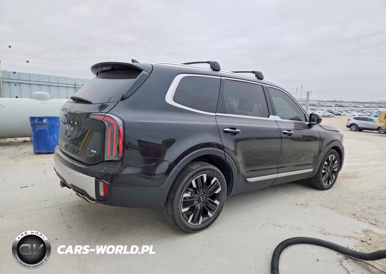 2024 Kia Telluride Sx-Prestige VIN:5XYP5DGCXRG473306 - 3