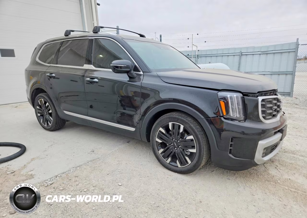 2024 Kia Telluride Sx-Prestige VIN:5XYP5DGCXRG473306 - 4