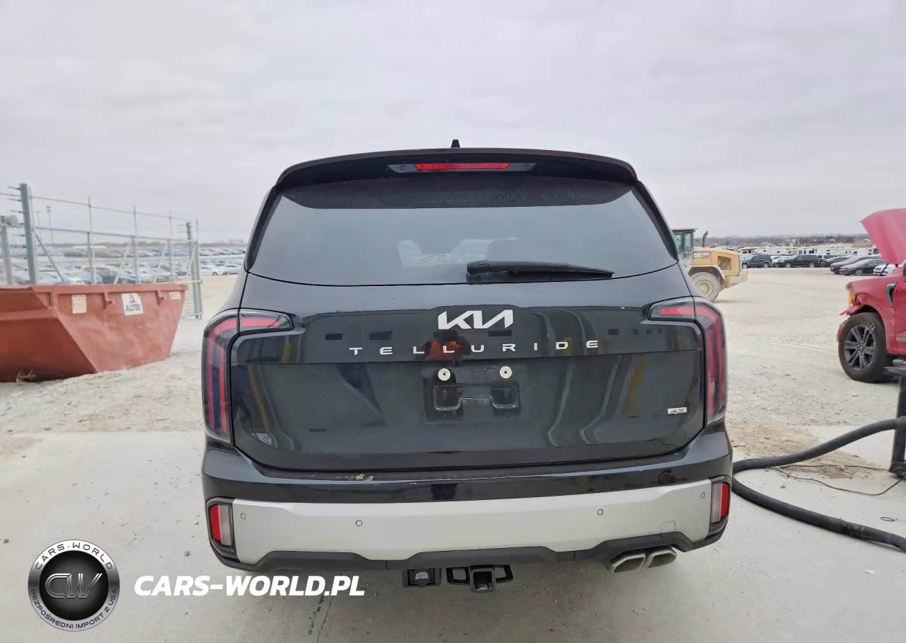 2024 Kia Telluride Sx-Prestige VIN:5XYP5DGCXRG473306 - 6