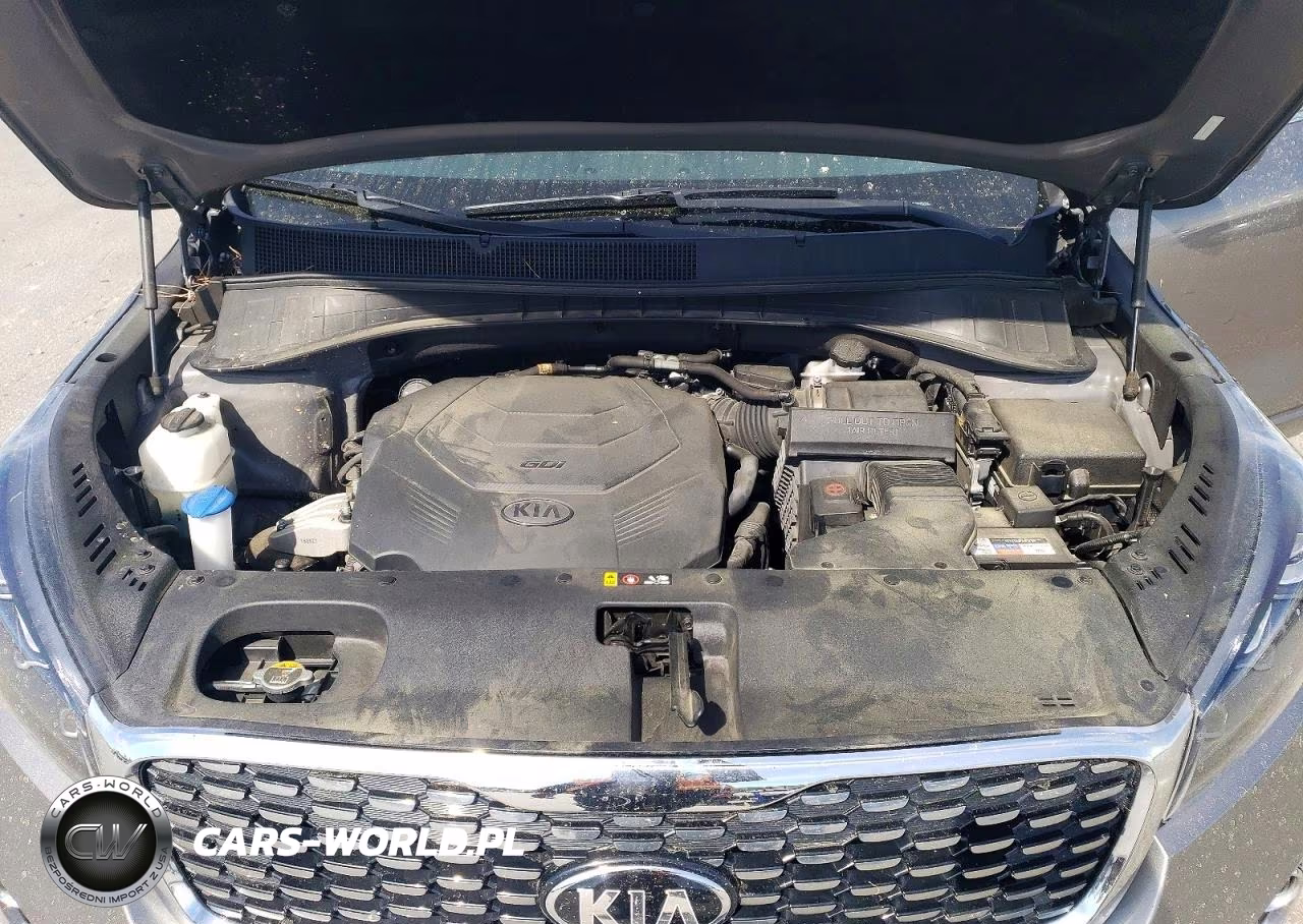 2019 Kia Sorento Sx V6 VIN:5XYPK4A54KG492152 - 12