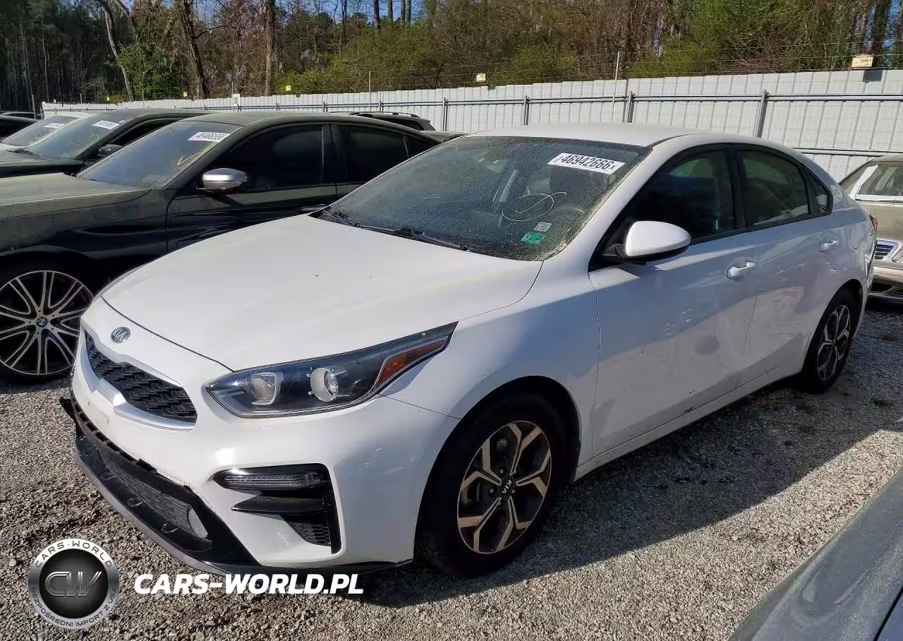 2019 Kia Forte Lxs