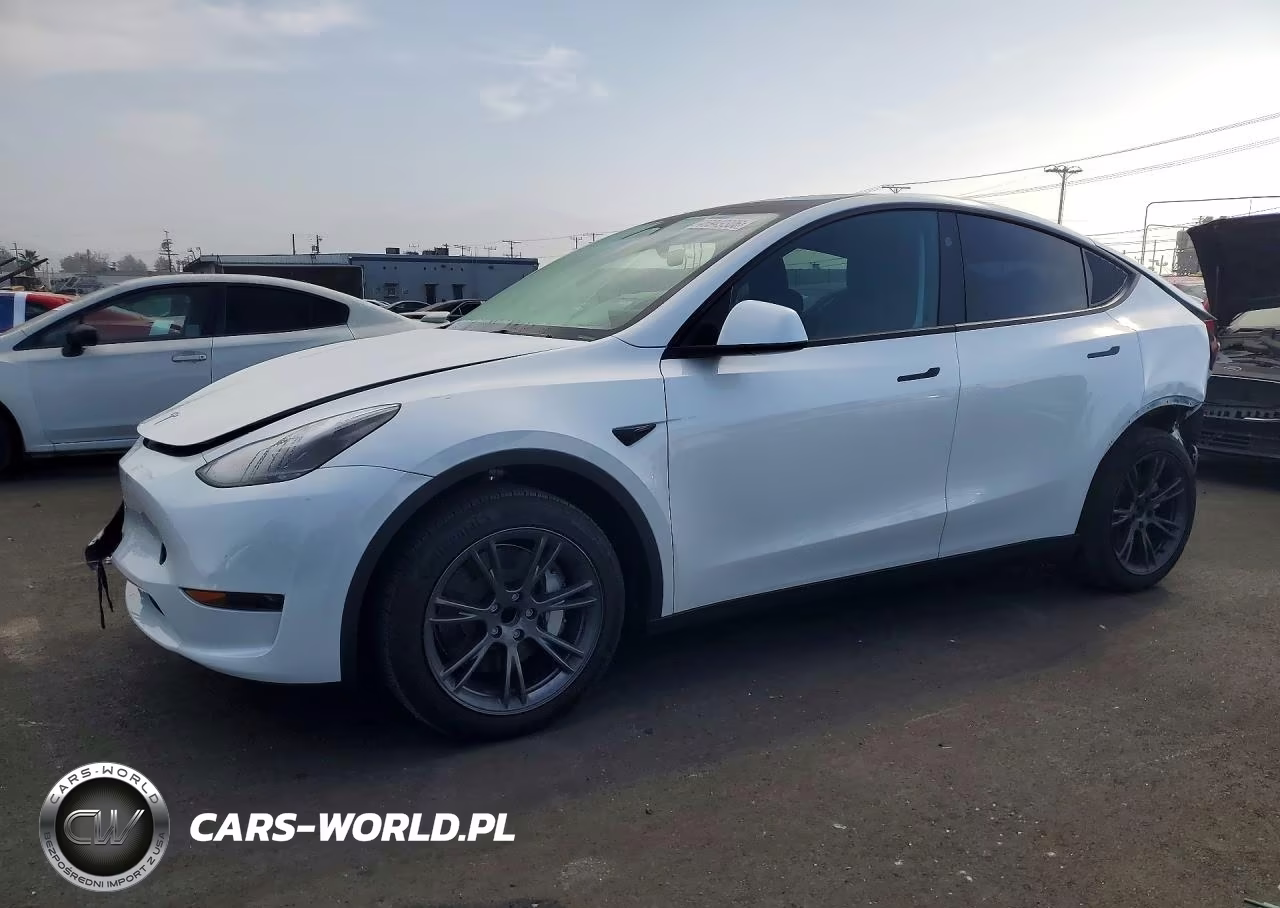 2025 Tesla Model Y