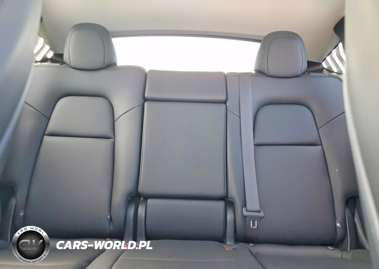 2025 Tesla Model Y VIN:7SAYGDED8SF270764 - 10