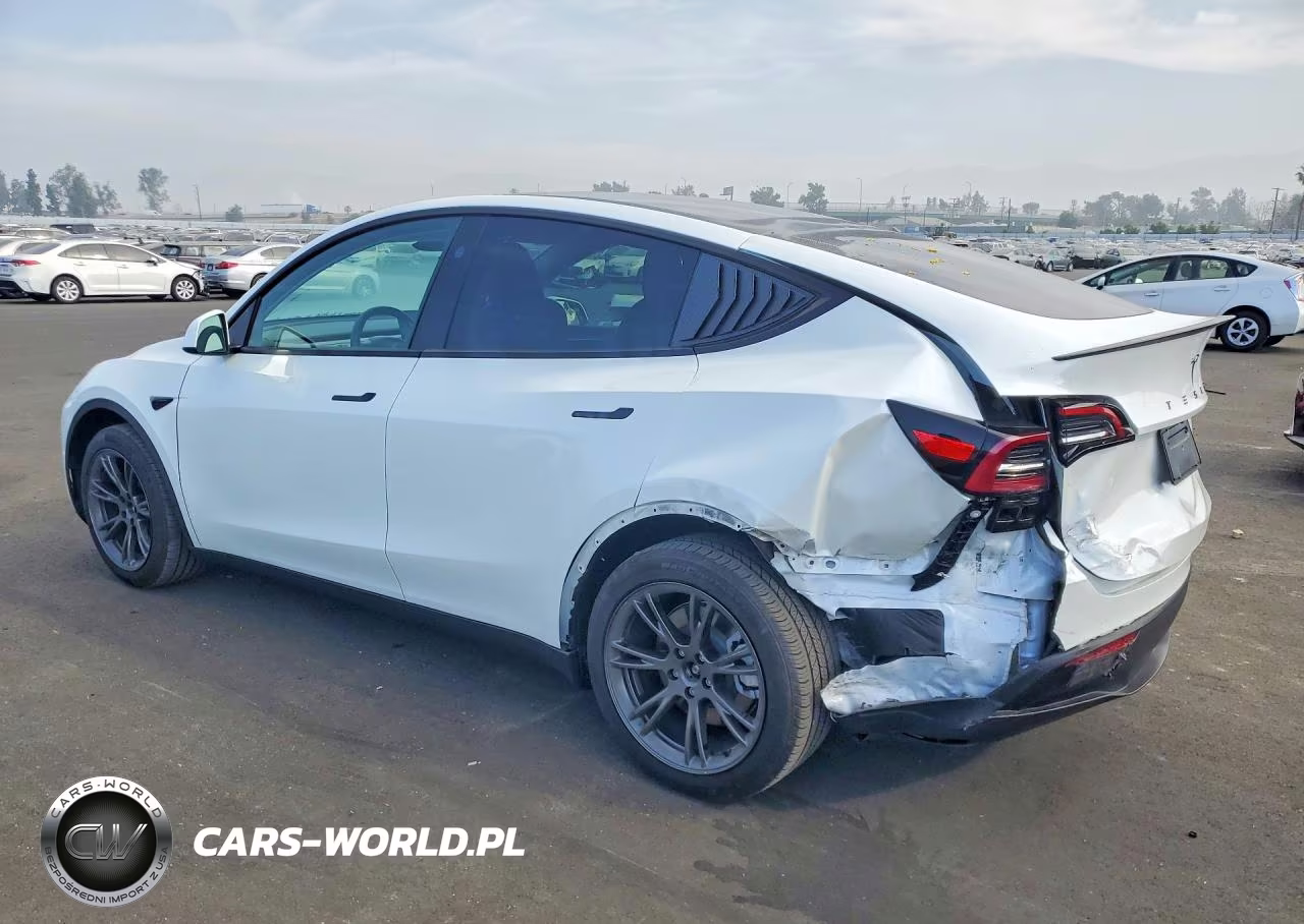 2025 Tesla Model Y VIN:7SAYGDED8SF270764 - 2