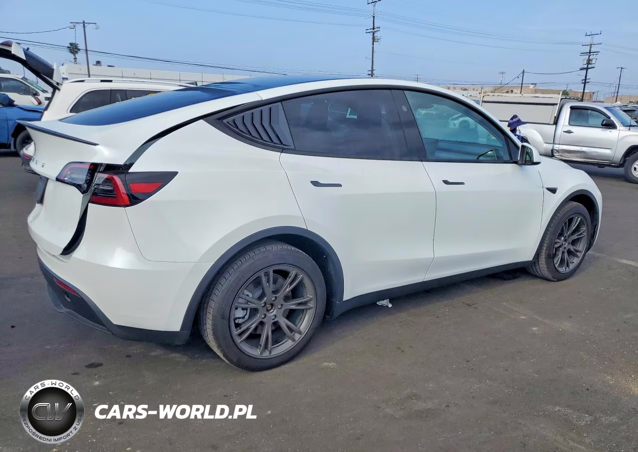 2025 Tesla Model Y VIN:7SAYGDED8SF270764 - 3