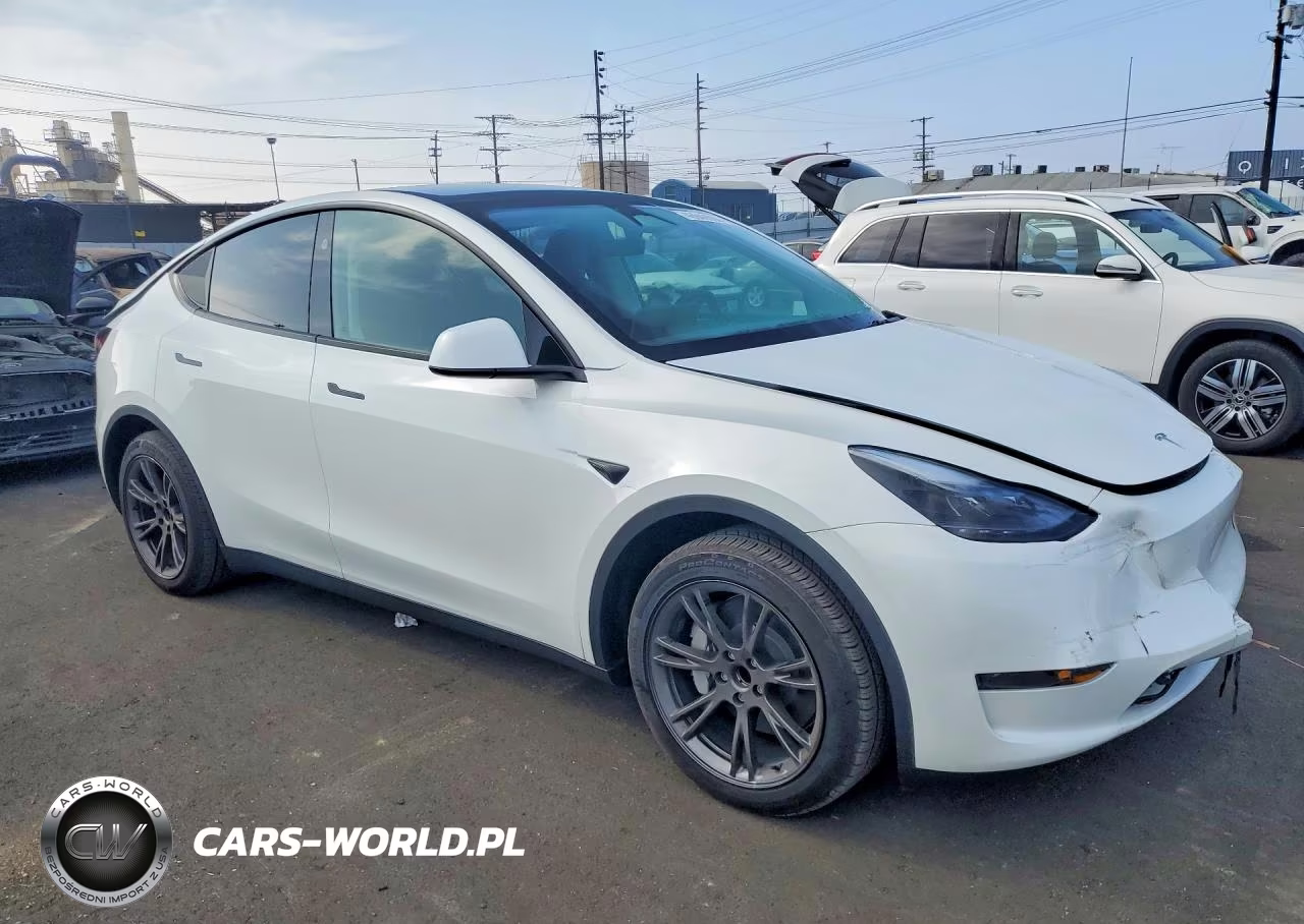 2025 Tesla Model Y VIN:7SAYGDED8SF270764 - 4