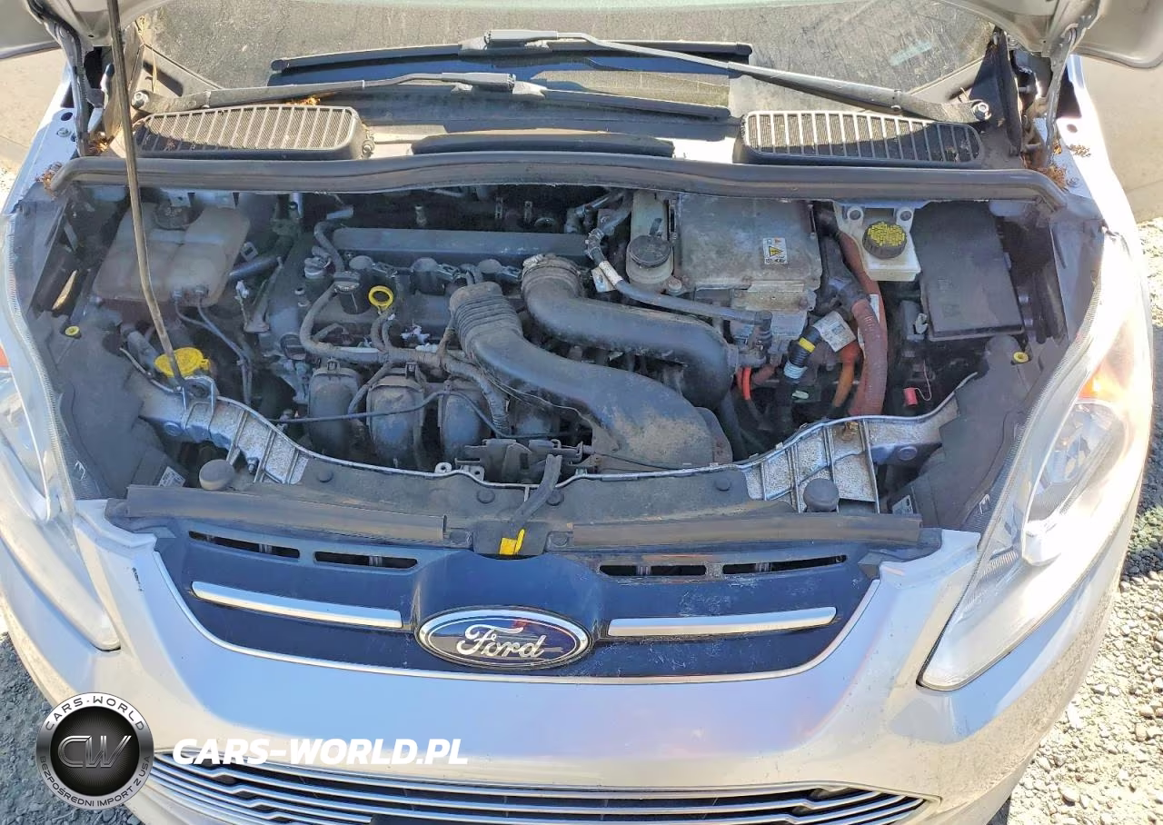 2015 Ford C-Max Se VIN:1FADP5AU0FL118977 - 12