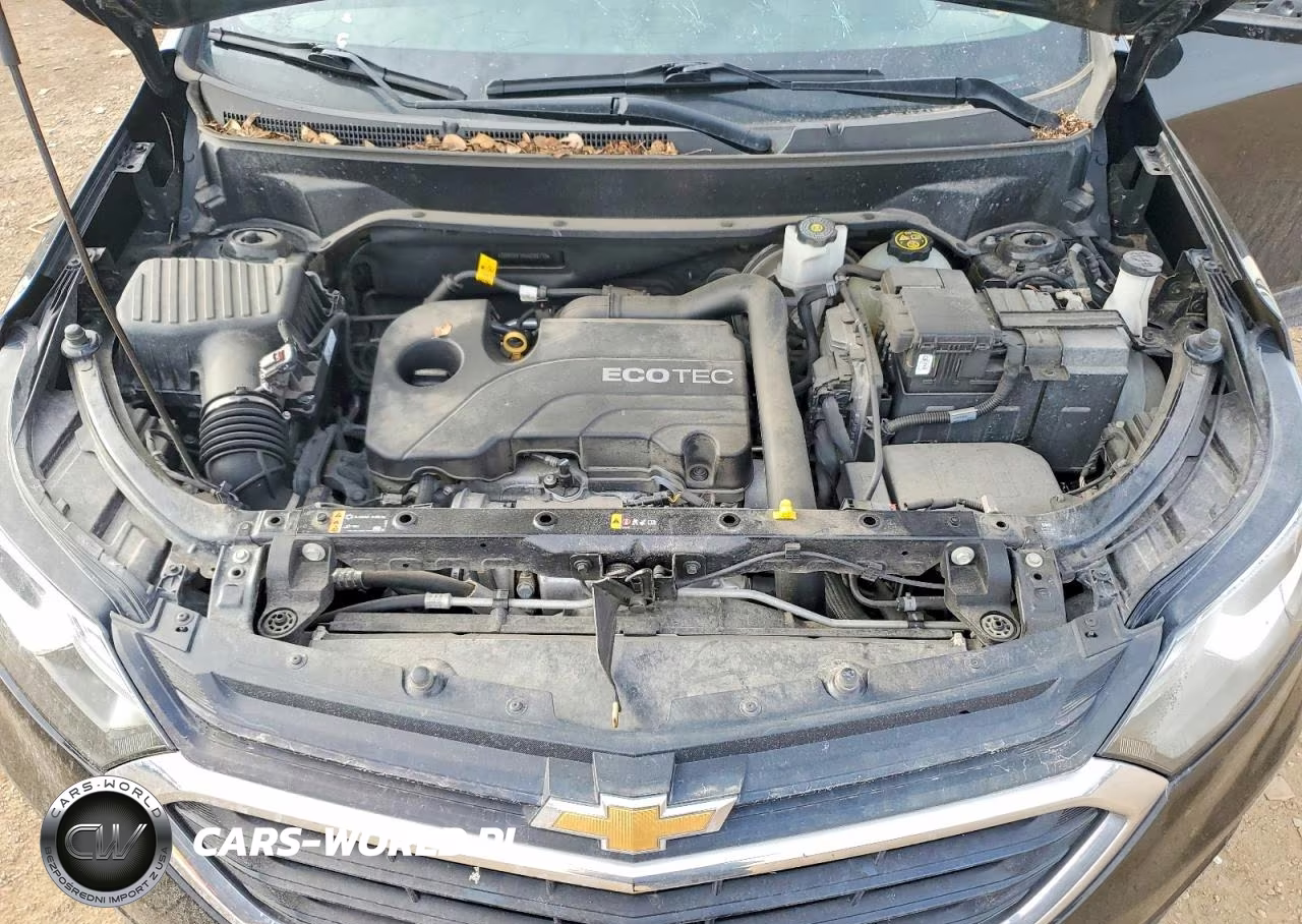 2019 Chevrolet Equinox Lt VIN:2GNAXKEV8K6288710 - 12