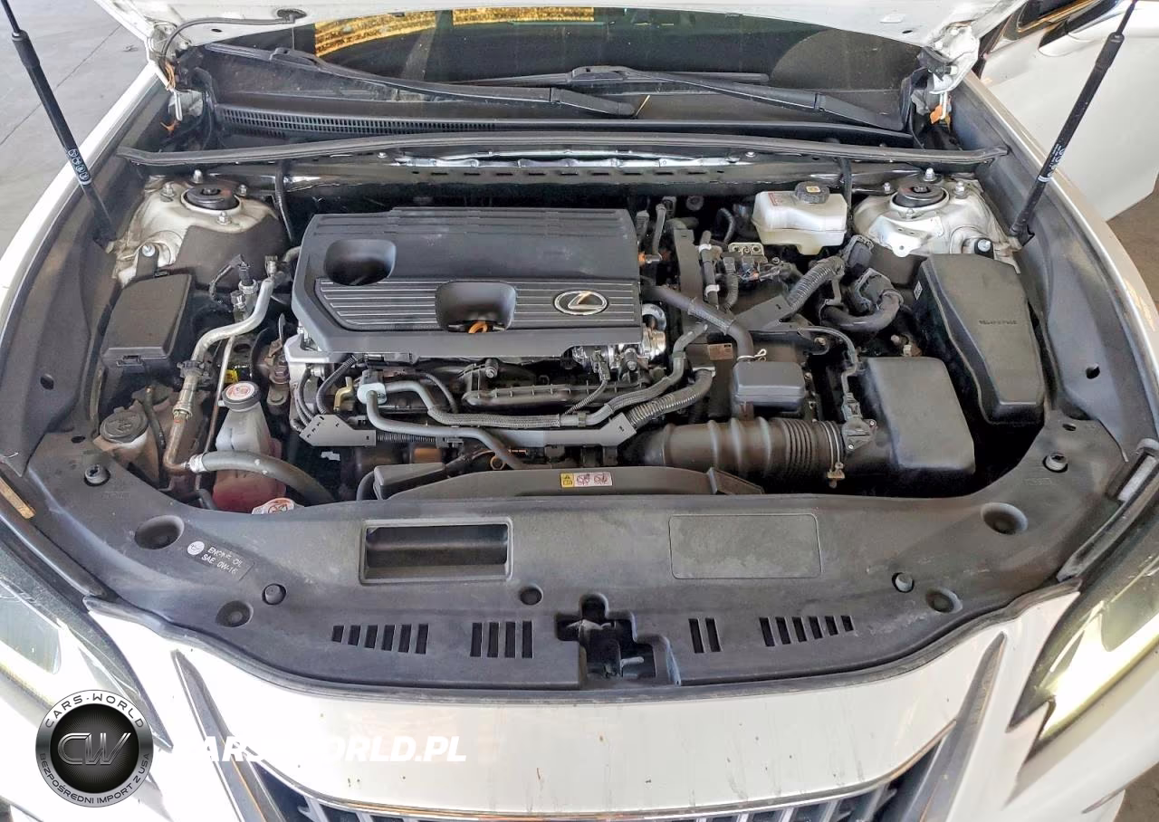 2025 Lexus Es 300H Base VIN:58ADA1C12SU064596 - 11