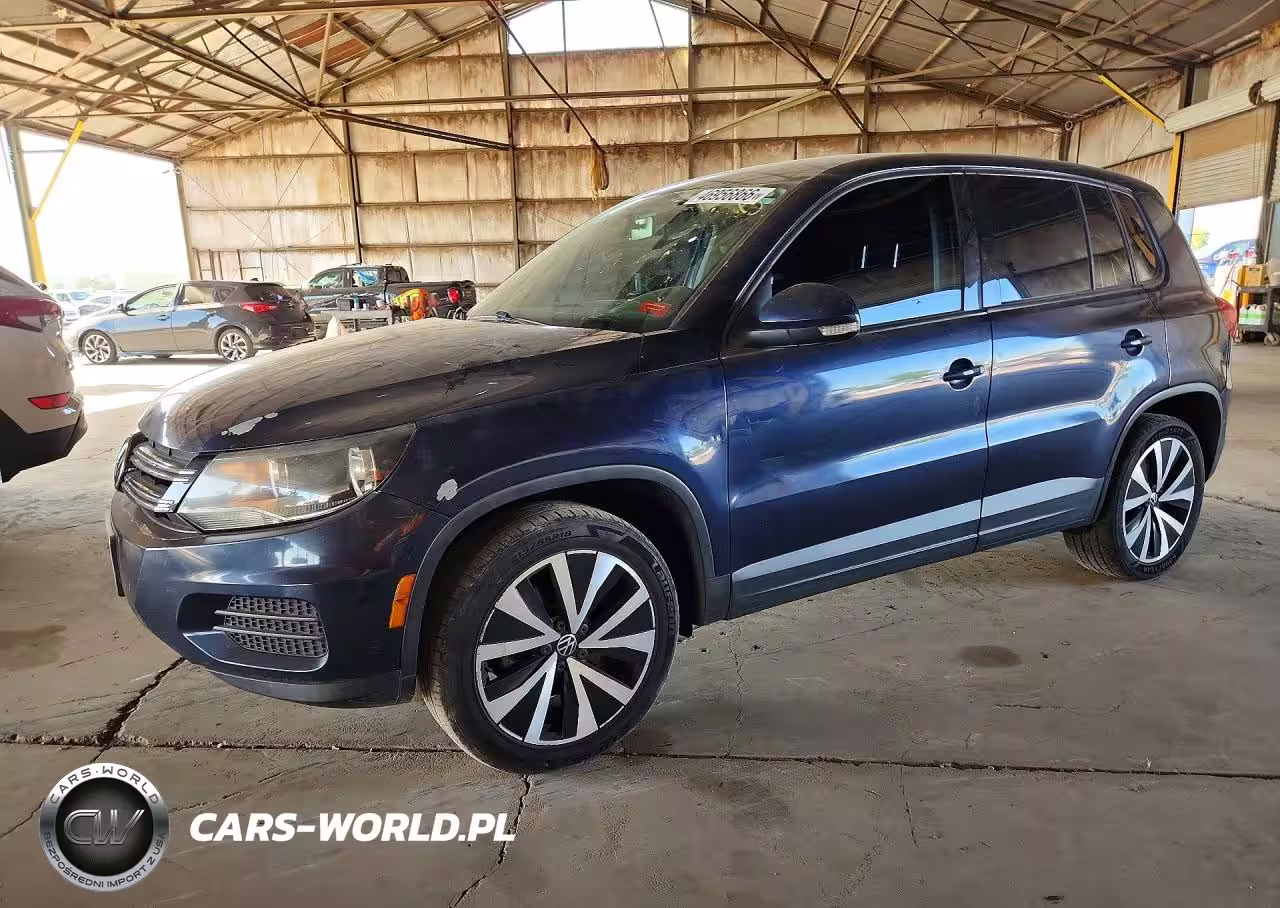 2013 Volkswagen Tiguan S