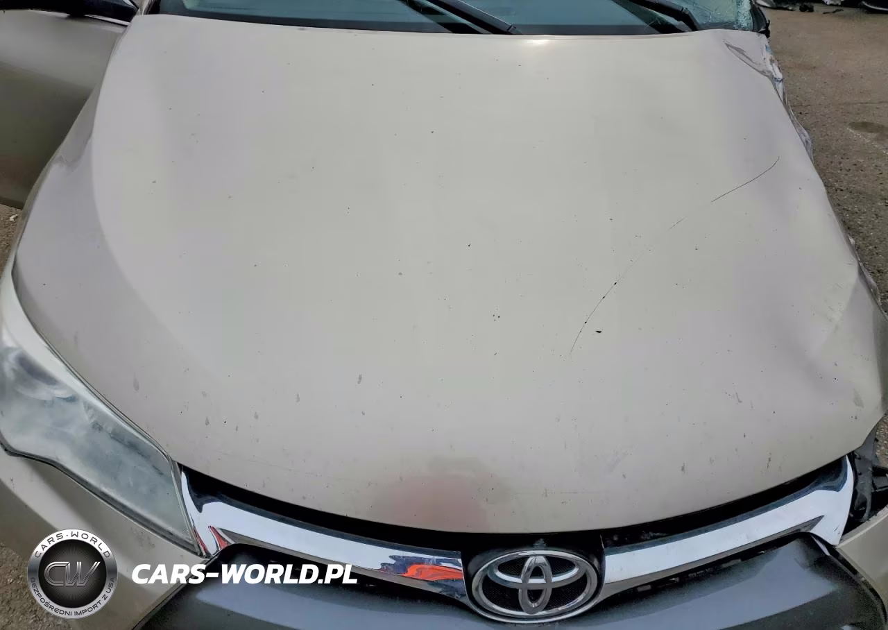 2017 Toyota Camry Xle VIN:4T1BF1FK5HU754291 - 11