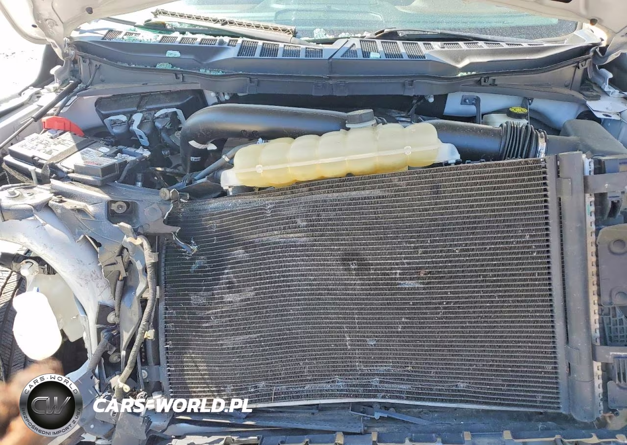 2021 Ford F150 Supercrew VIN:1FTFW1E87MFD08427 - 11