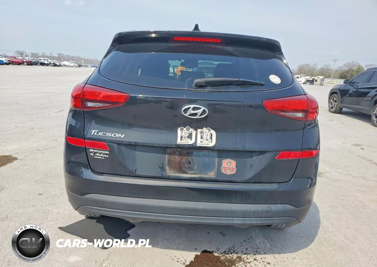 2020 Hyundai Tucson Value VIN:KM8J33A41LU129260 - 6