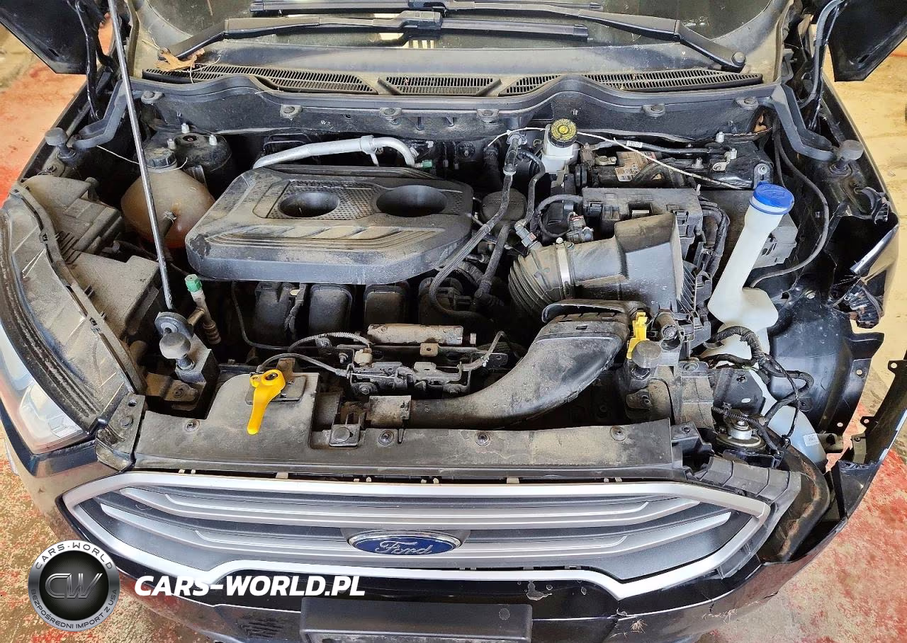 2020 Ford Ecosport Se VIN:MAJ6S3GL2LC323478 - 12