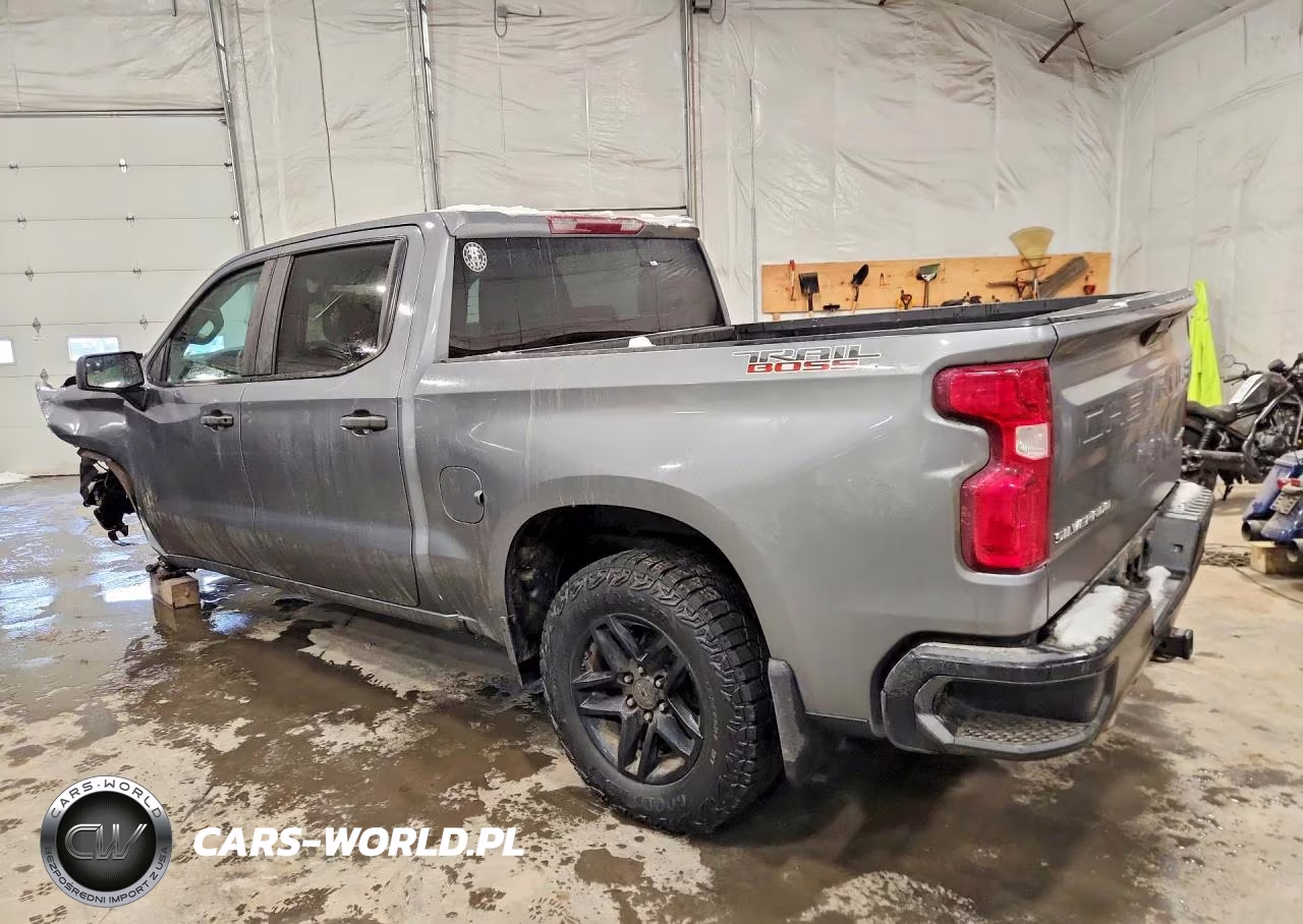 2020 Chevrolet Silverado K1500 Trail Boss Custom VIN:3GCPYCEF8LG250317 - 2