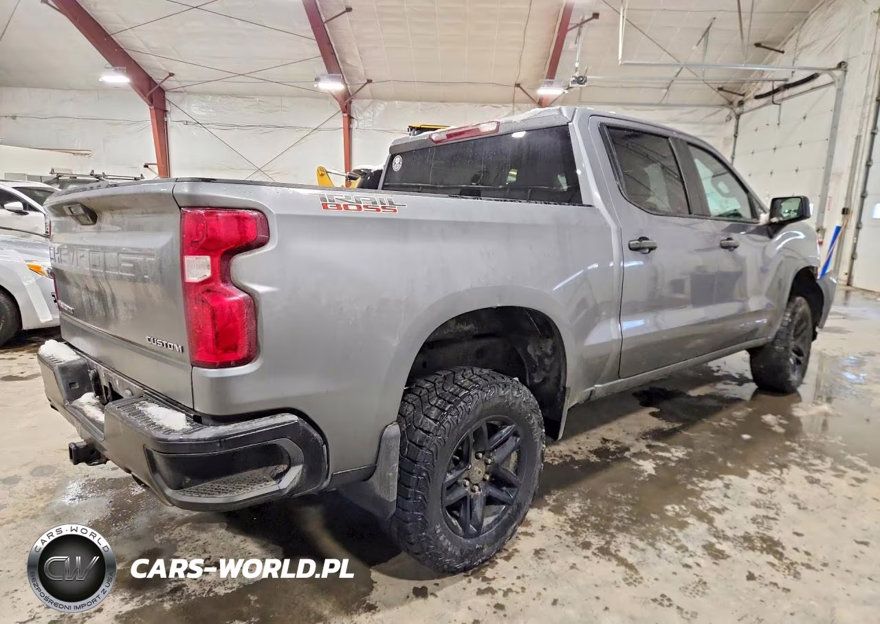 2020 Chevrolet Silverado K1500 Trail Boss Custom VIN:3GCPYCEF8LG250317 - 3