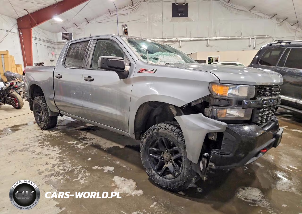 2020 Chevrolet Silverado K1500 Trail Boss Custom VIN:3GCPYCEF8LG250317 - 4