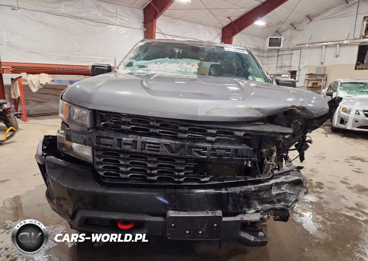 2020 Chevrolet Silverado K1500 Trail Boss Custom VIN:3GCPYCEF8LG250317 - 5