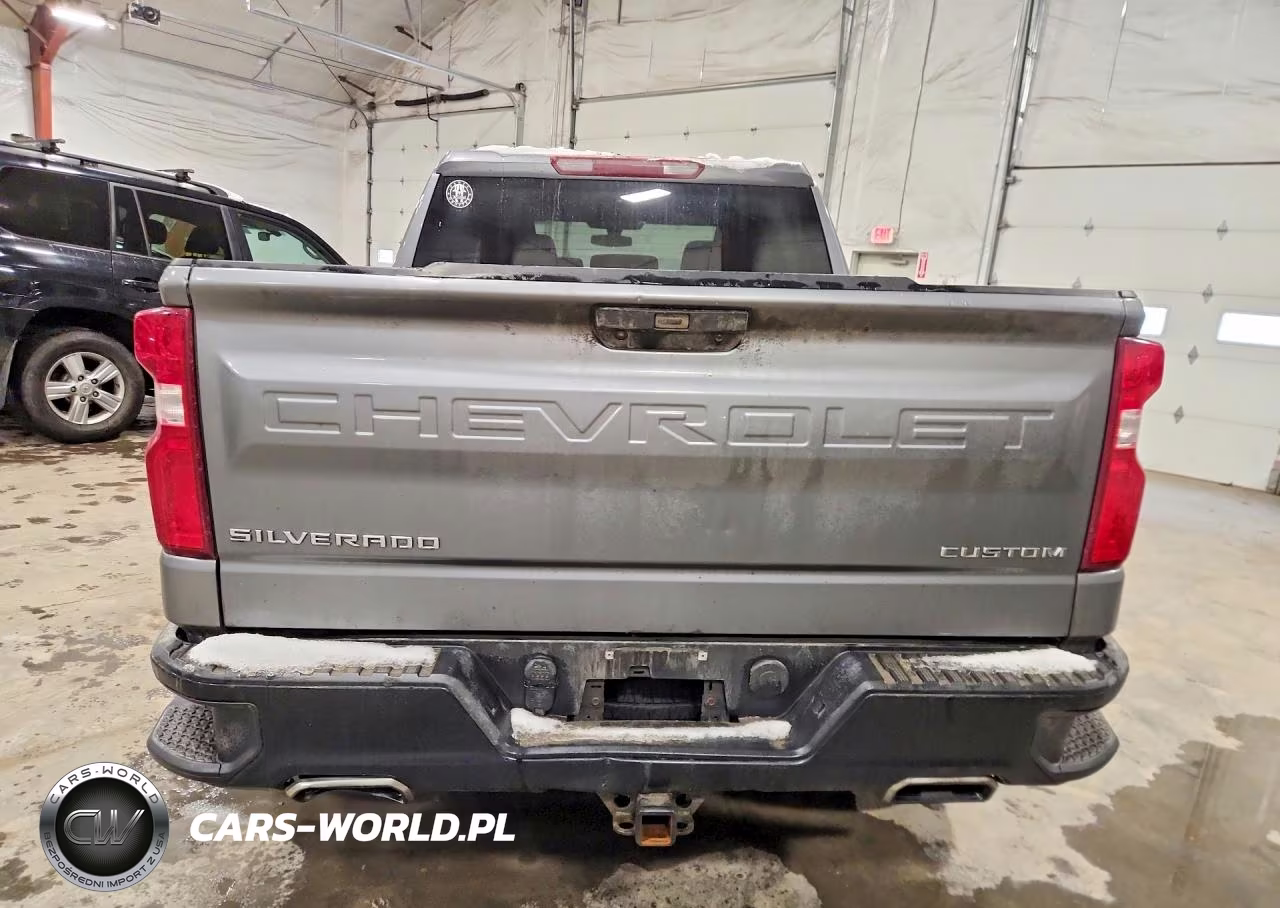 2020 Chevrolet Silverado K1500 Trail Boss Custom VIN:3GCPYCEF8LG250317 - 6