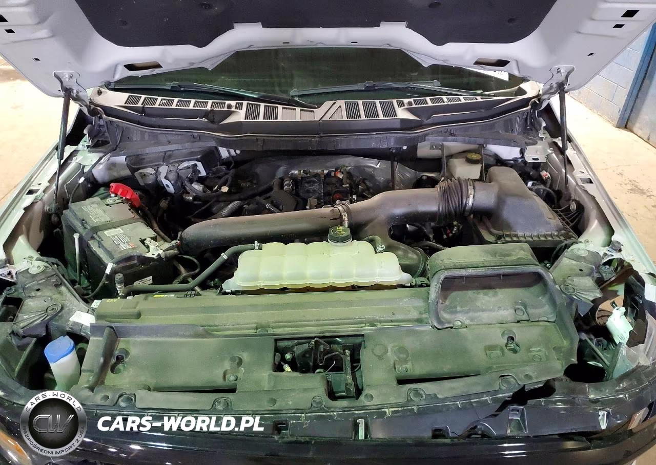2024 Ford F150 Xlt VIN:1FTFW3L86RKD02650 - 11