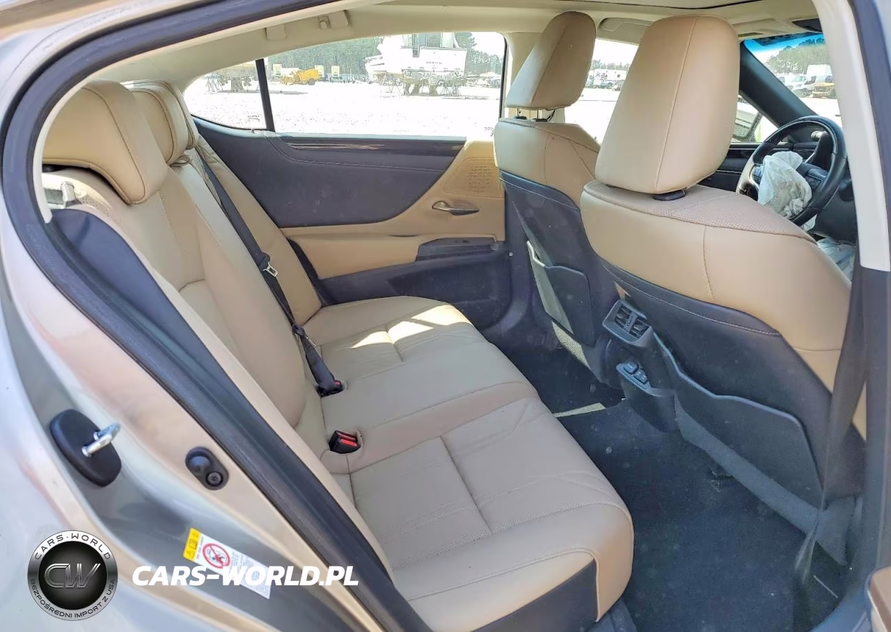 2019 Lexus Es 350 Luxury VIN:58ABZ1B13KU030037 - 10