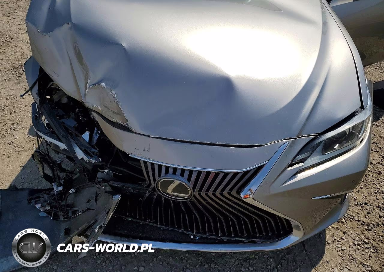2019 Lexus Es 350 Luxury VIN:58ABZ1B13KU030037 - 11