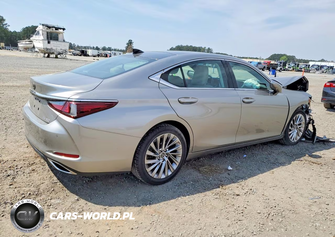 2019 Lexus Es 350 Luxury VIN:58ABZ1B13KU030037 - 3