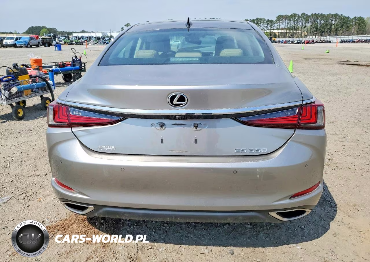 2019 Lexus Es 350 Luxury VIN:58ABZ1B13KU030037 - 6