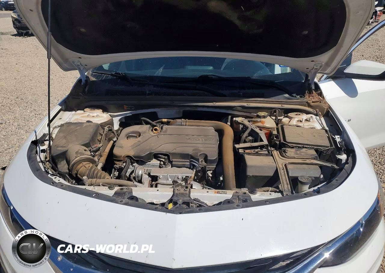 2019 Chevrolet Malibu Lt VIN:1G1ZD5ST2KF113103 - 11