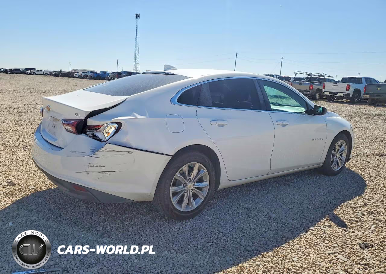 2019 Chevrolet Malibu Lt VIN:1G1ZD5ST2KF113103 - 3