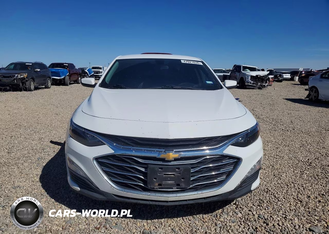 2019 Chevrolet Malibu Lt VIN:1G1ZD5ST2KF113103 - 5