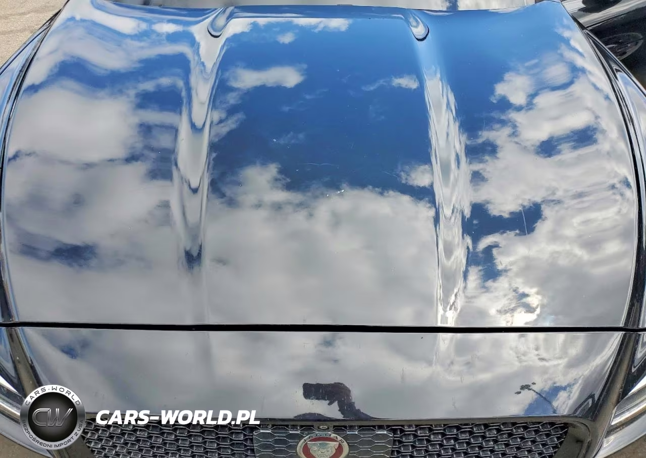2018 Jaguar F-Pace R - Sport VIN:SADCL2FX4JA254024 - 12