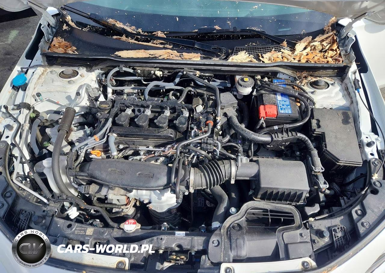 2023 Honda Civic VIN:2HGFE1F96PH313486 - 11