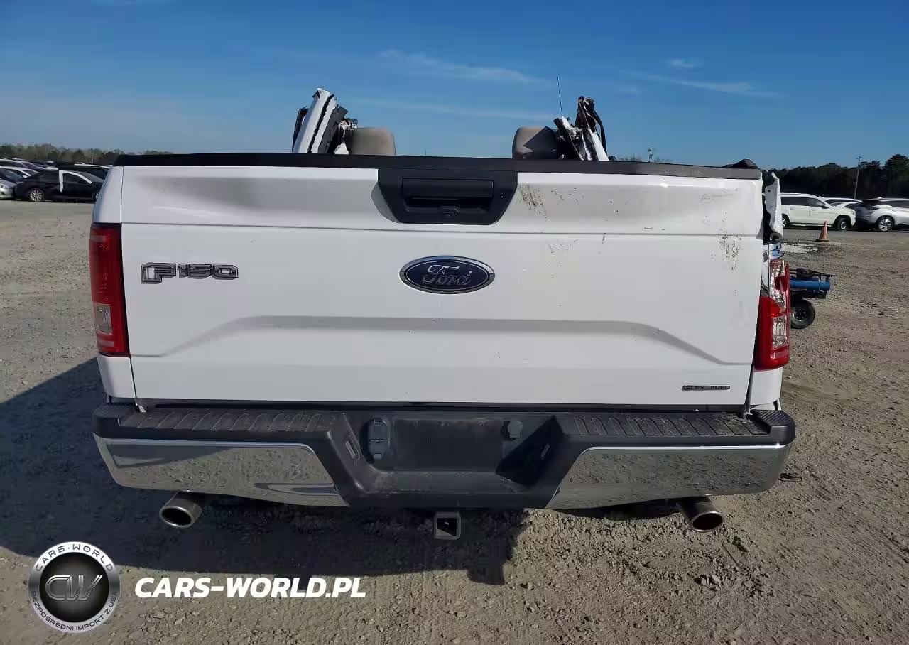2016 Ford F150 VIN:1FTMF1EF1GKD69743 - 6