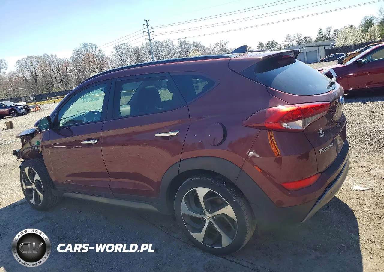 2016 Hyundai Tucson Limited VIN:KM8J3CA25GU230127 - 2