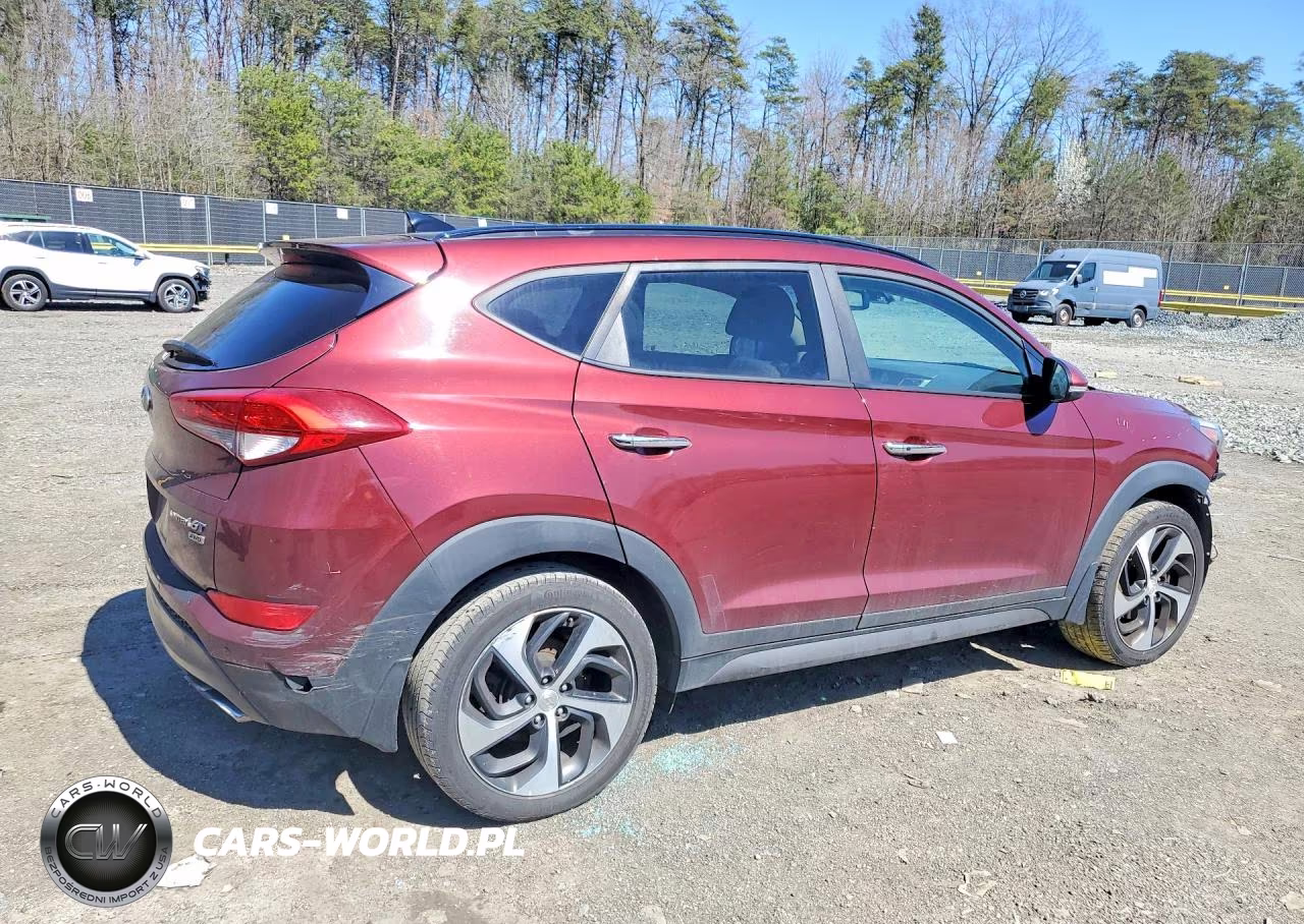 2016 Hyundai Tucson Limited VIN:KM8J3CA25GU230127 - 3