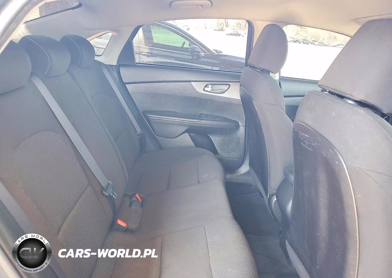 2020 Kia Forte Lxs VIN:3KPF24AD5LE192167 - 10