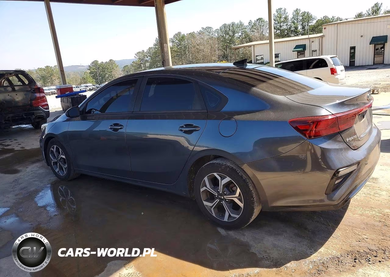 2020 Kia Forte Lxs VIN:3KPF24AD5LE192167 - 2