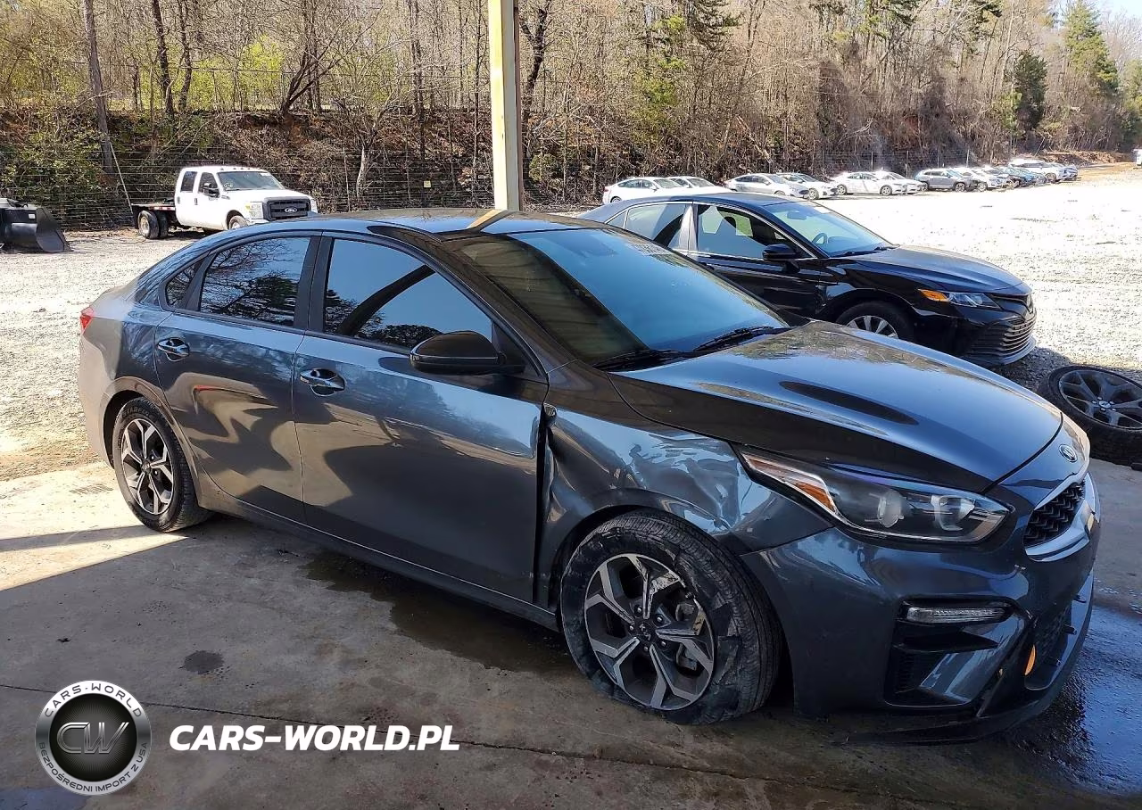2020 Kia Forte Lxs VIN:3KPF24AD5LE192167 - 4