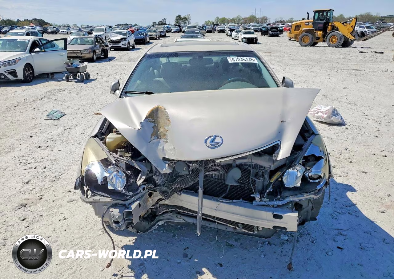 2005 Lexus Es 330 Base VIN:JTHBA30GX55091193 - 5