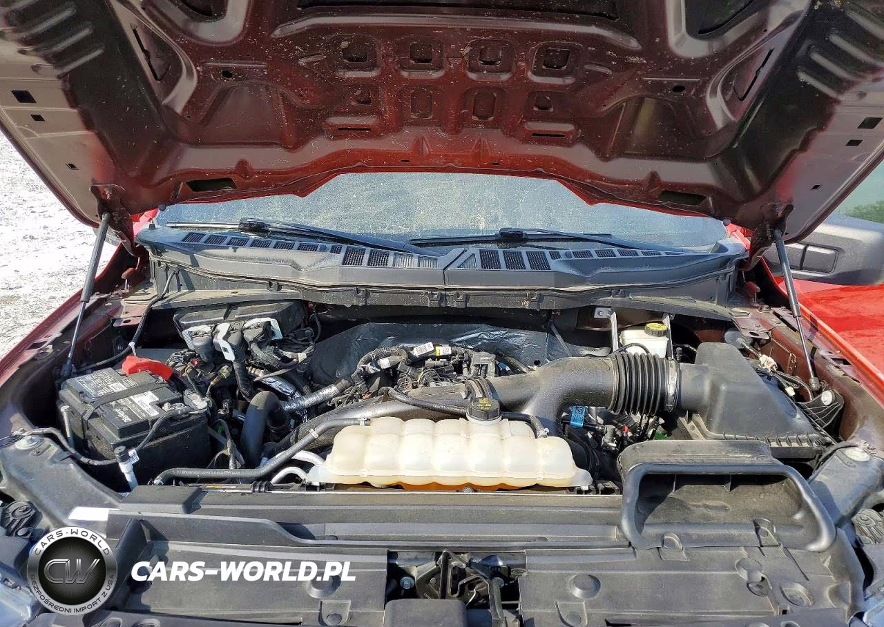 2023 Ford F150 Supercrew VIN:1FTEW1EP4PKD27807 - 11