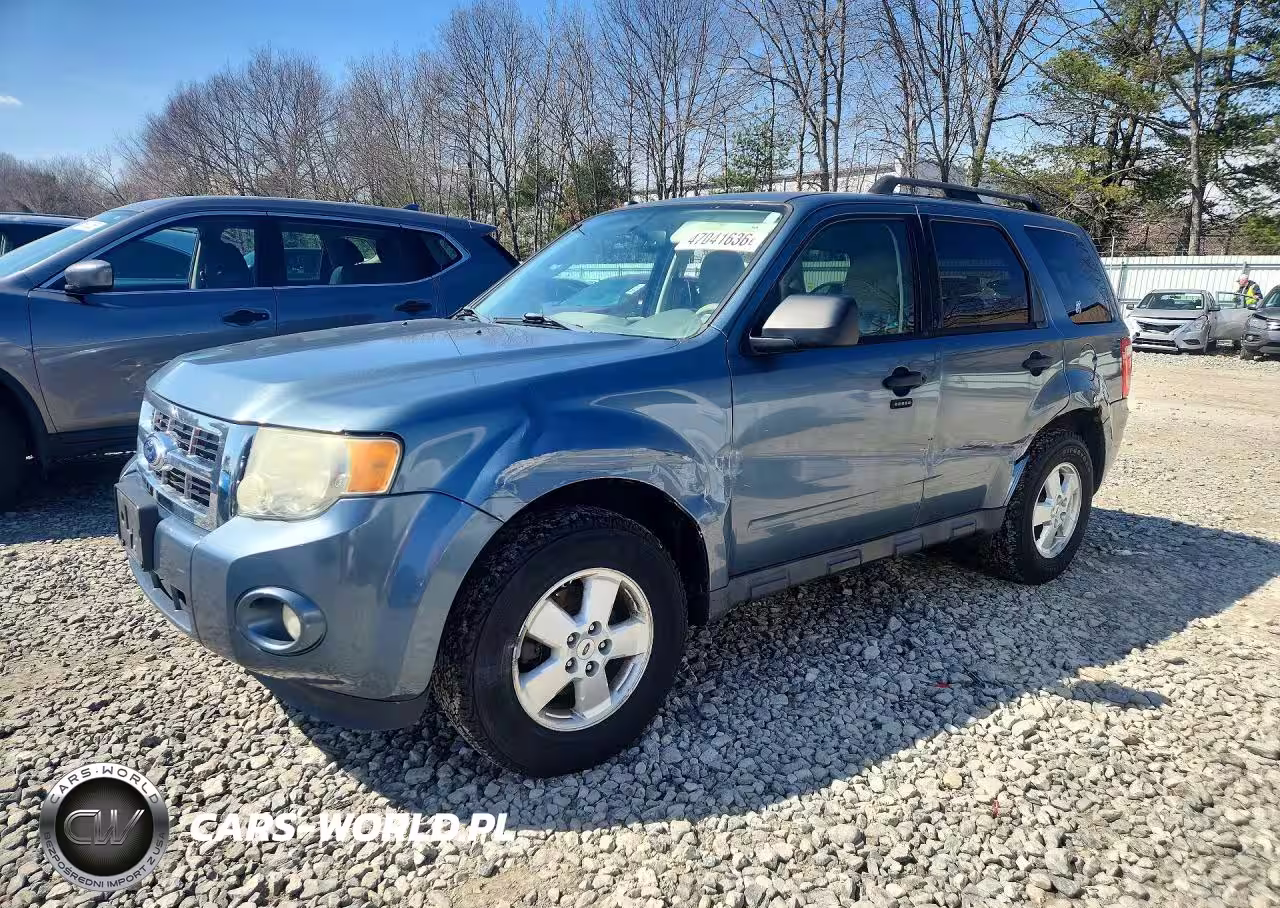 2011 Ford Escape Xlt