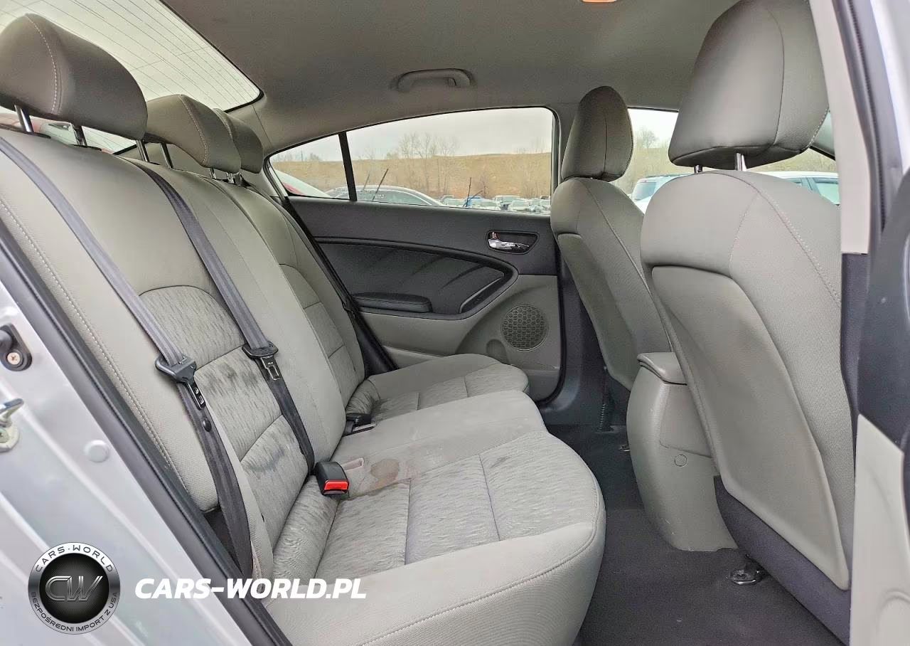 2015 Kia Forte Lx VIN:KNAFK4A66F5287318 - 10