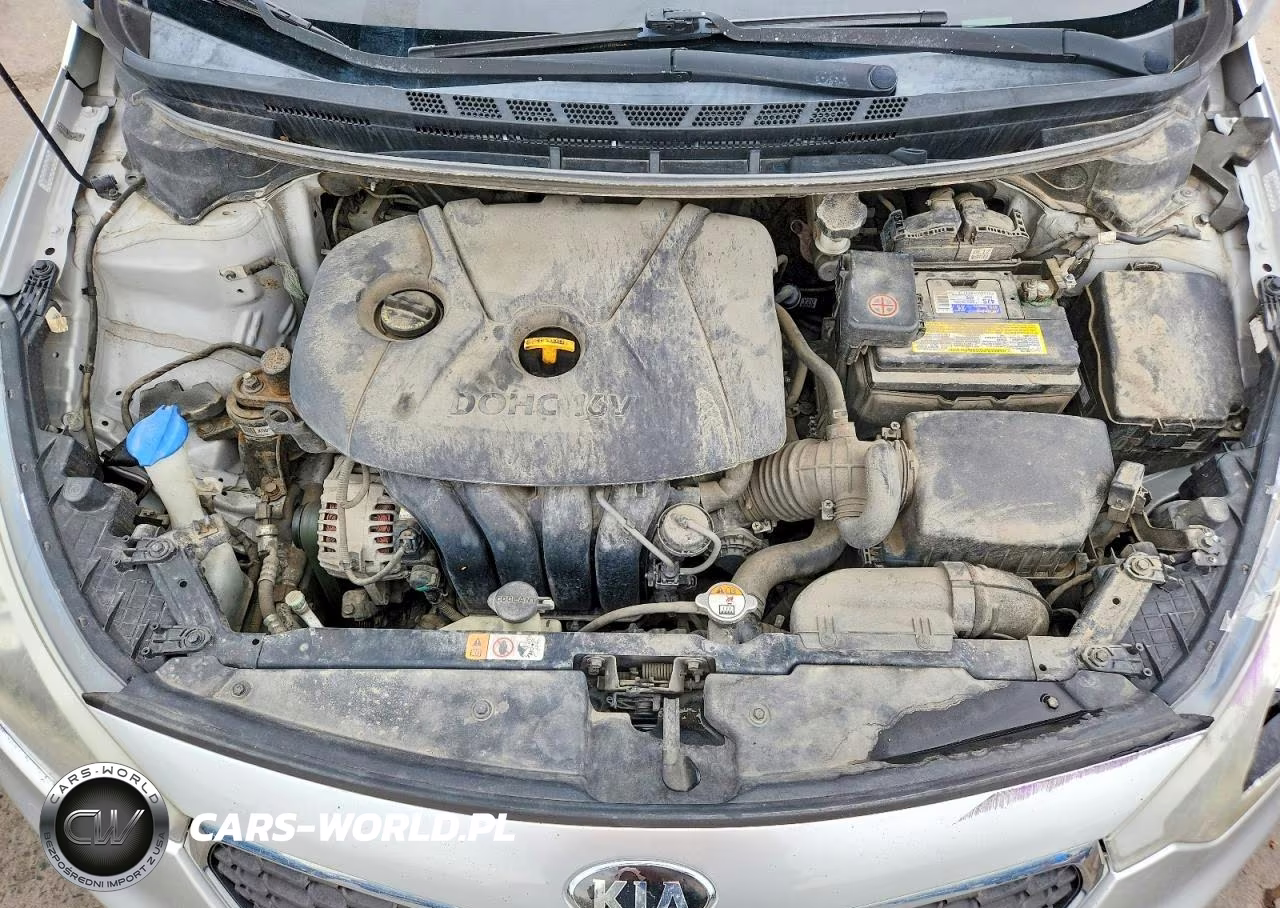 2015 Kia Forte Lx VIN:KNAFK4A66F5287318 - 11